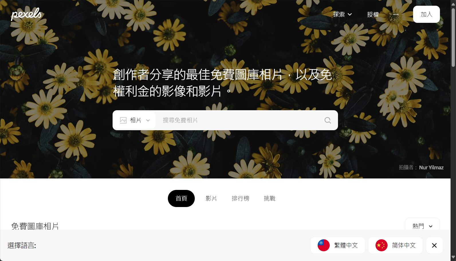 ai素材网站排行榜:2025年最值得收藏的10个免费设计资源平台