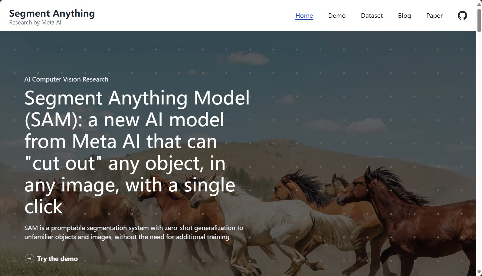 Segment Anything Model(SAM)