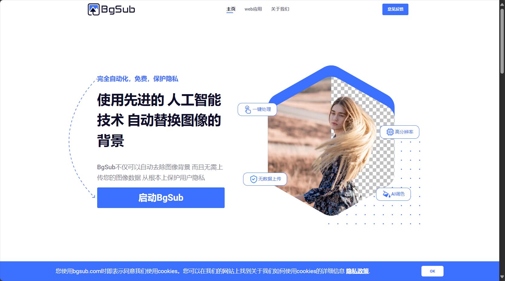 BgSub官网截图