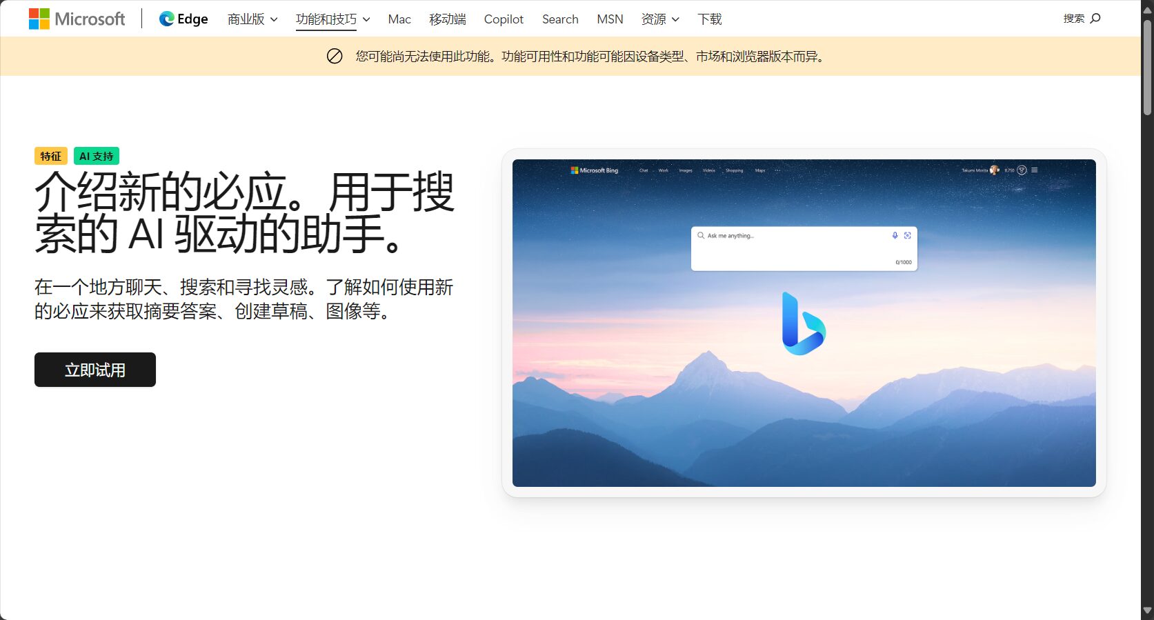 入门介绍bing