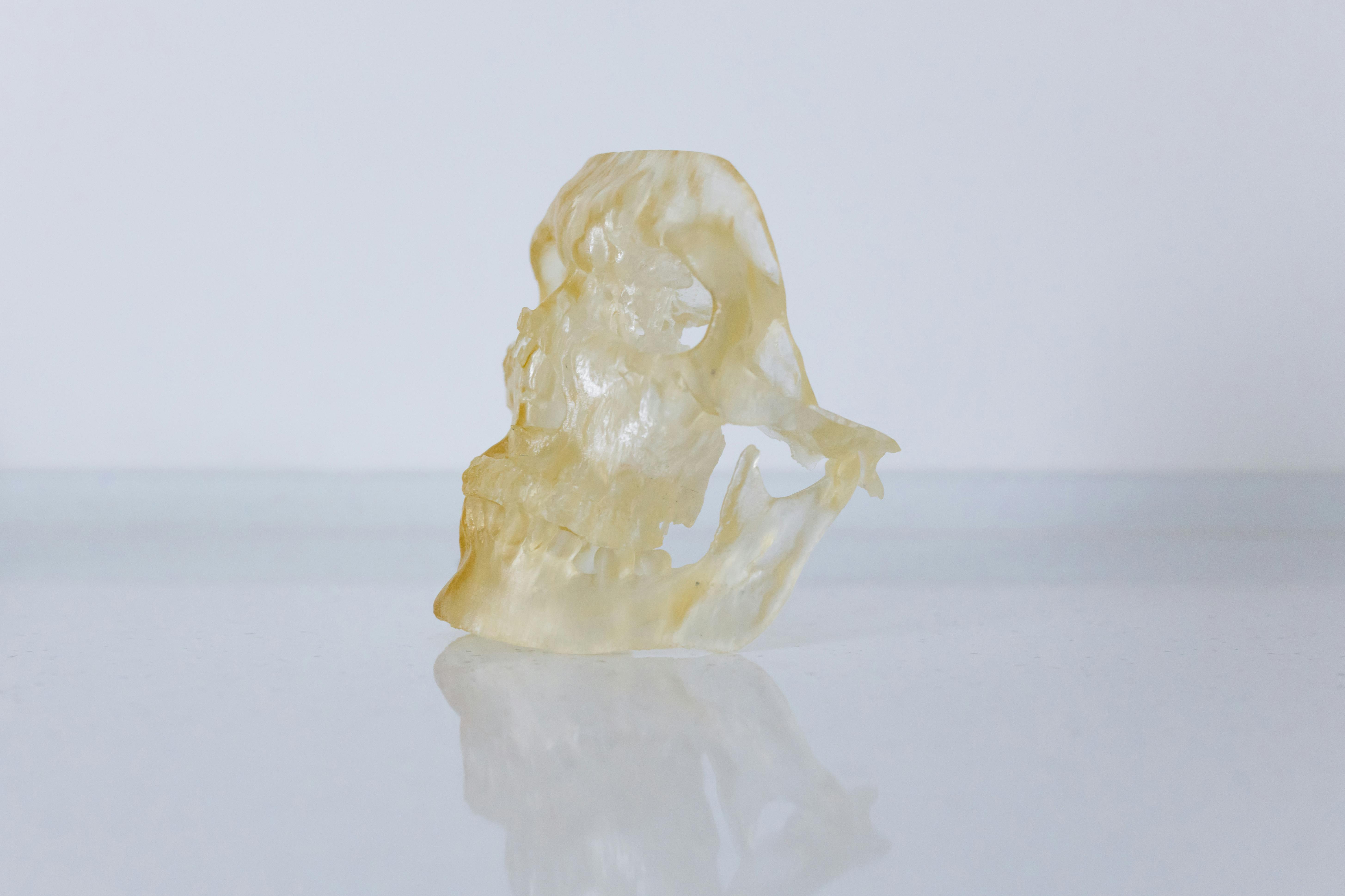 3D模型生成AI功能比較表