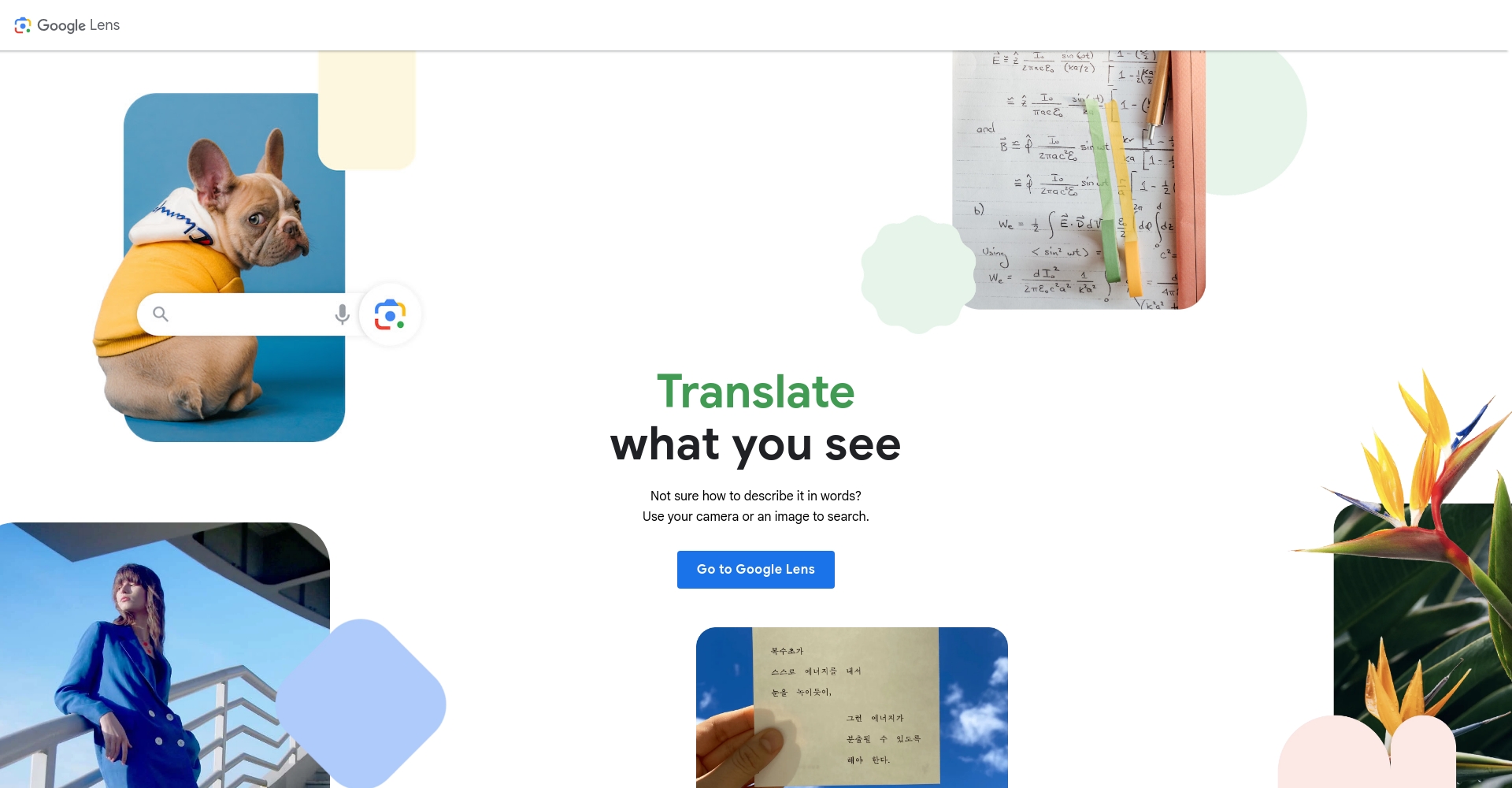 Google Lens网页截图